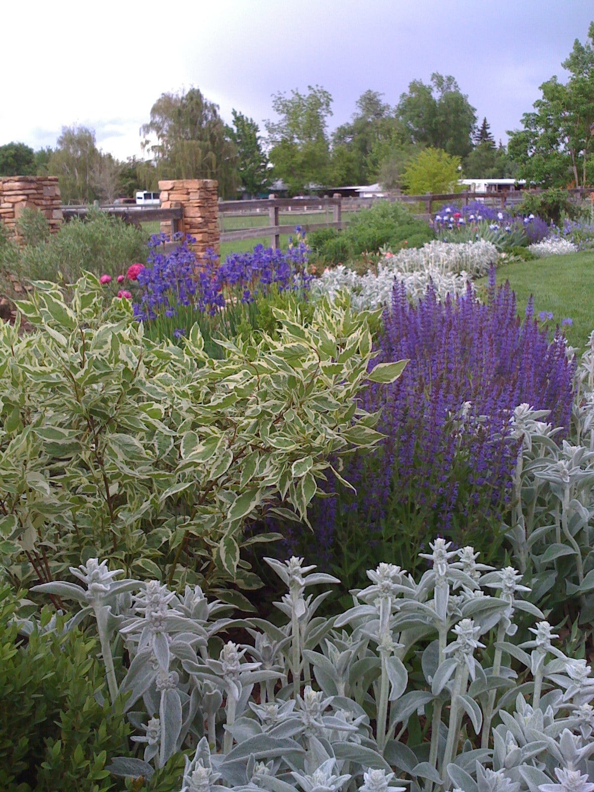 Colorado Landscaping Photos | Kingfisher Landscape | Build | Serving Colorado