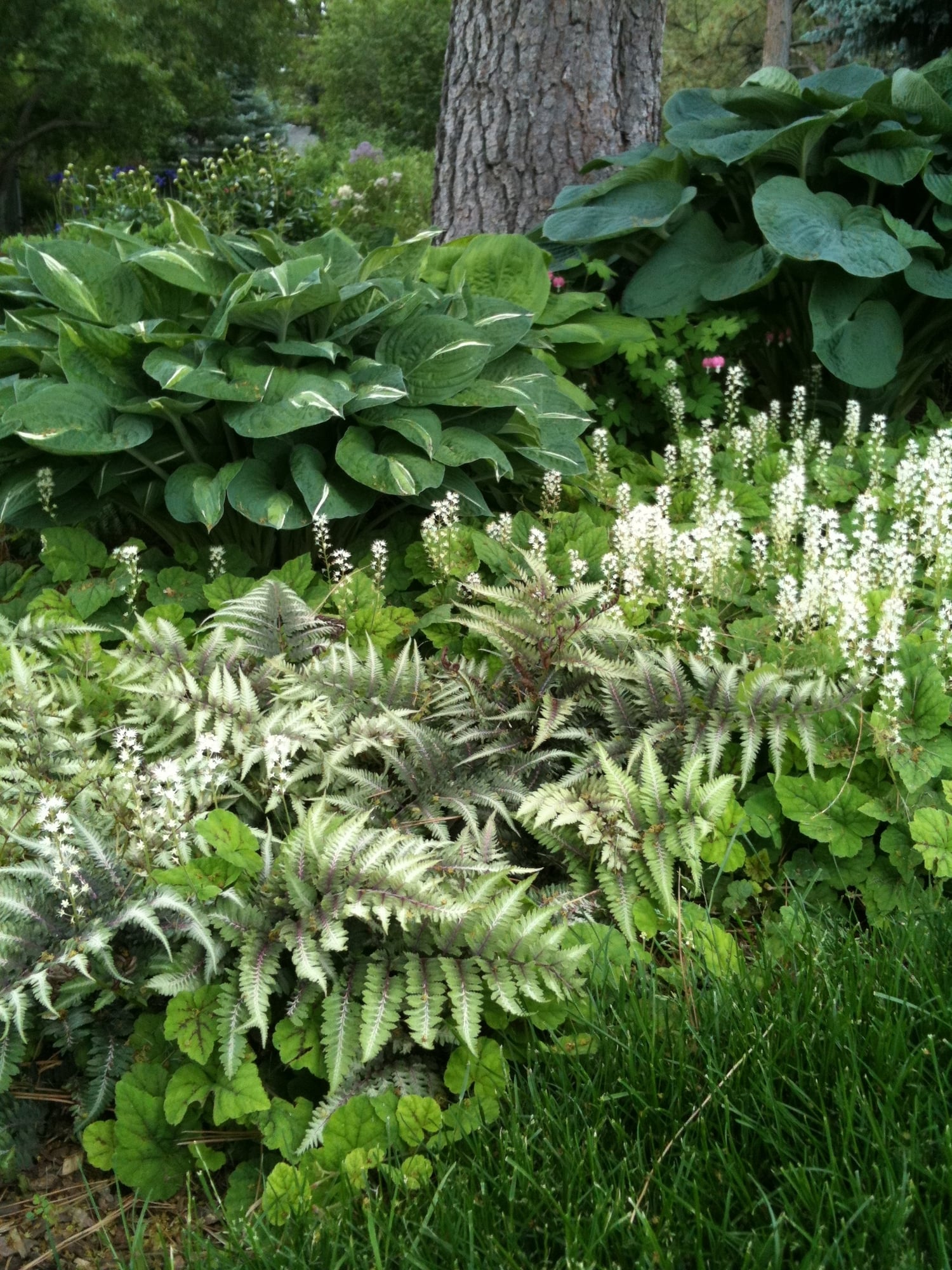 Colorado Landscaping Photos | Kingfisher Landscape | Build | Serving Colorado