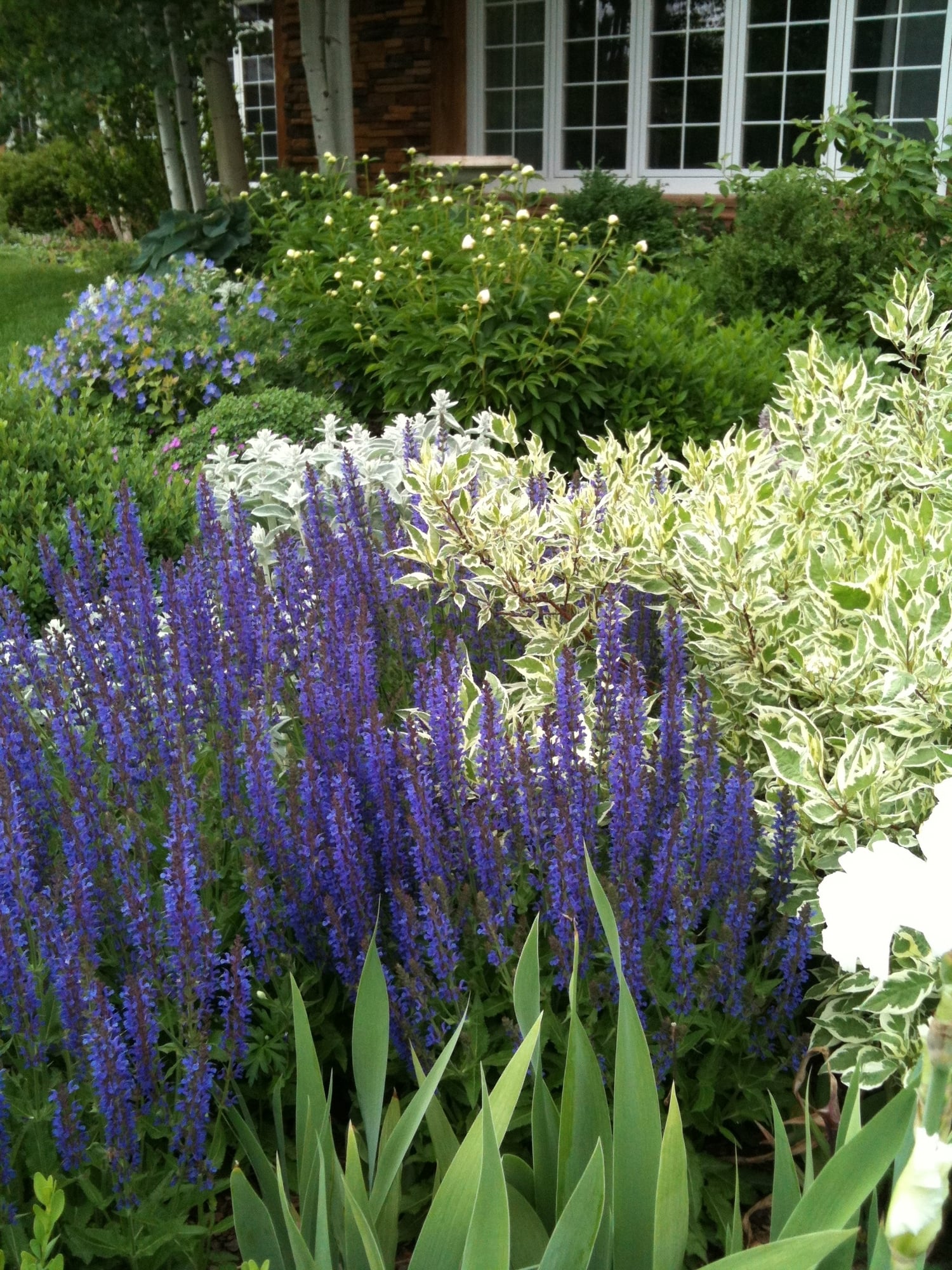 Colorado Landscaping Photos | Kingfisher Landscape | Build | Serving Colorado