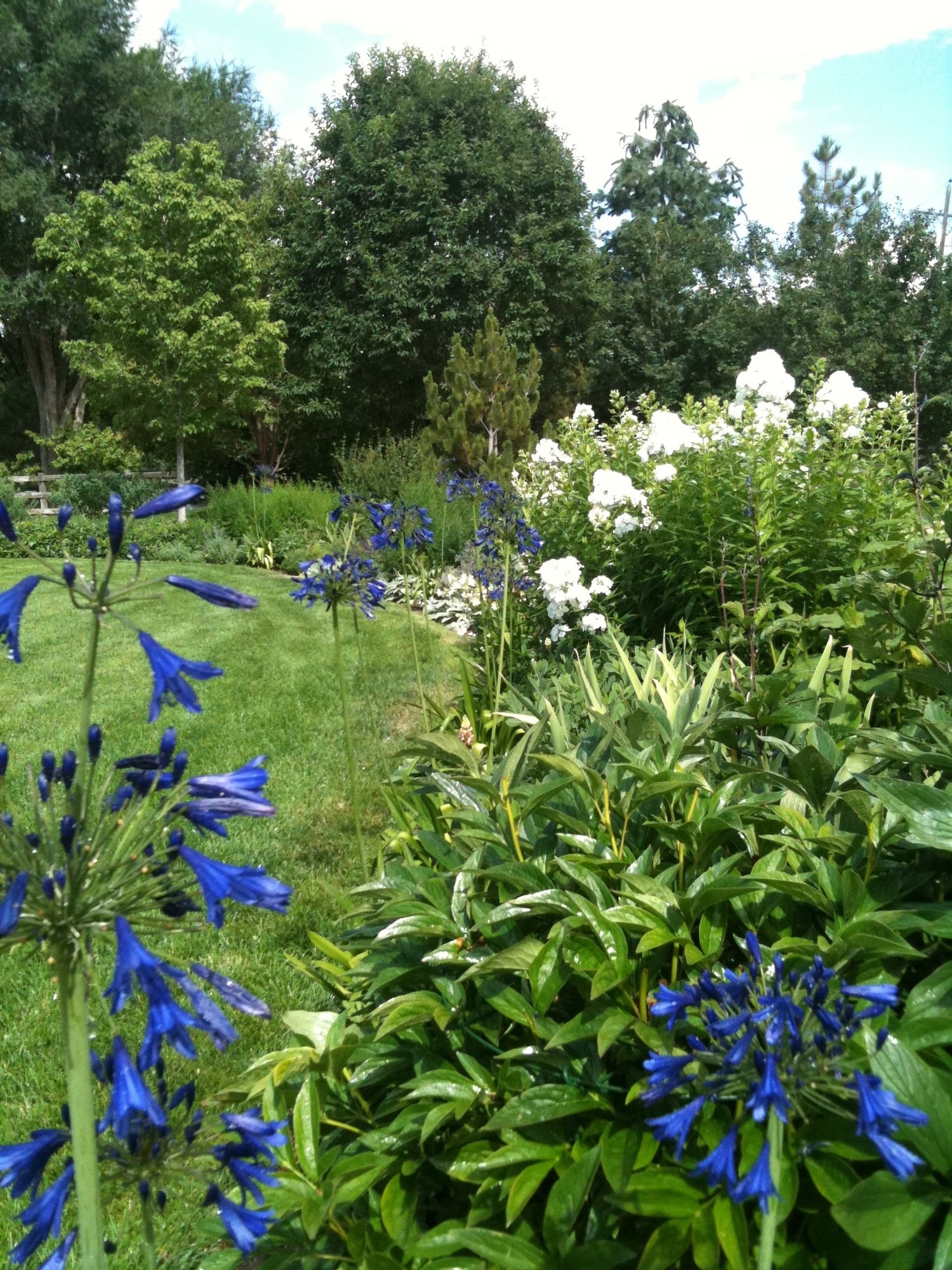 Colorado Landscaping Photos | Kingfisher Landscape | Build | Serving Colorado