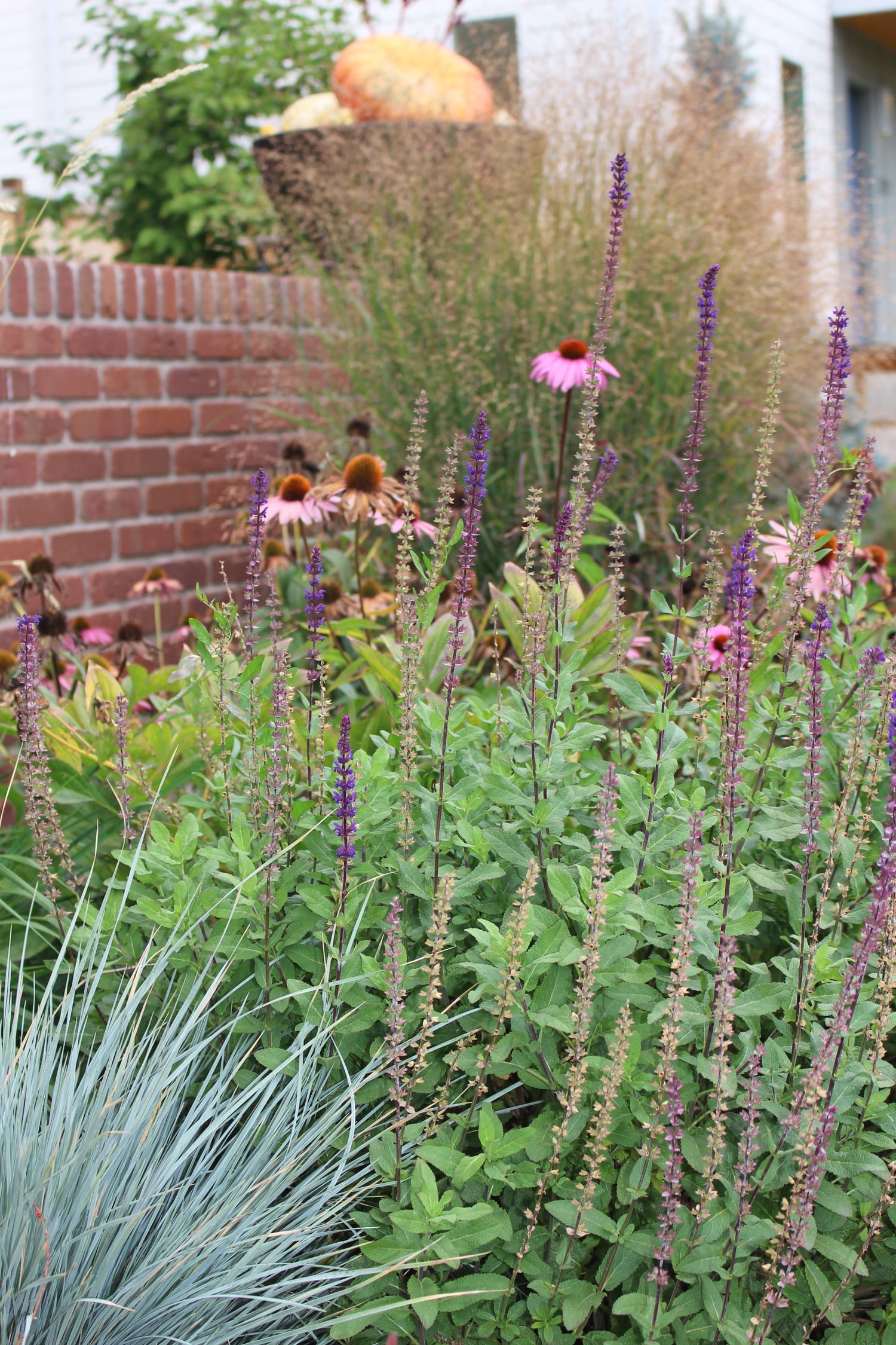 Colorado Landscaping Photos | Kingfisher Landscape | Build | Serving Colorado