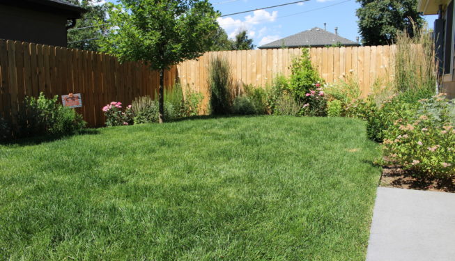 Cory-Merrill Residence | Kingfisher Landscape | Build | Serving Colorado