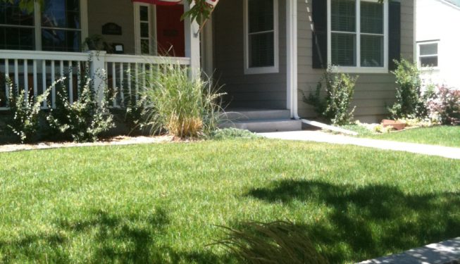 Cory-Merrill Residence | Kingfisher Landscape | Build | Serving Colorado