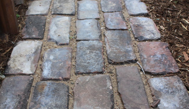 Cheesman Park Residence | Kingfisher Landscape | Build | Serving Colorado