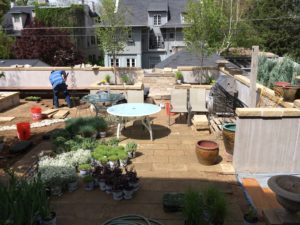 Cheesman Park Residence | Kingfisher Landscape | Build | Serving Colorado