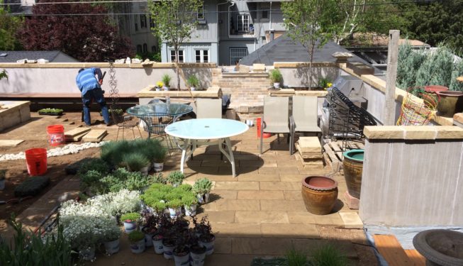 Cheesman Park Residence | Kingfisher Landscape | Build | Serving Colorado