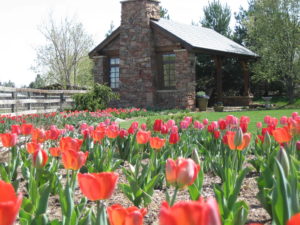 Englewood Residence | Kingfisher Landscape | Build | Serving Colorado