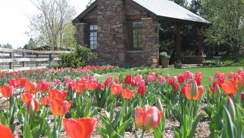 Englewood Residence | Kingfisher Landscape | Build | Serving Colorado