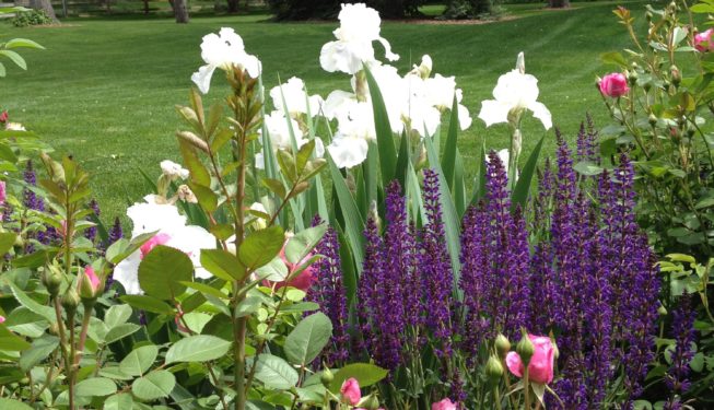 Englewood Residence | Kingfisher Landscape | Build | Serving Colorado