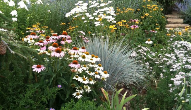 Englewood Residence | Kingfisher Landscape | Build | Serving Colorado