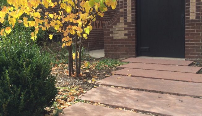 Hilltop Residence | Kingfisher Landscape | Build | Serving Colorado