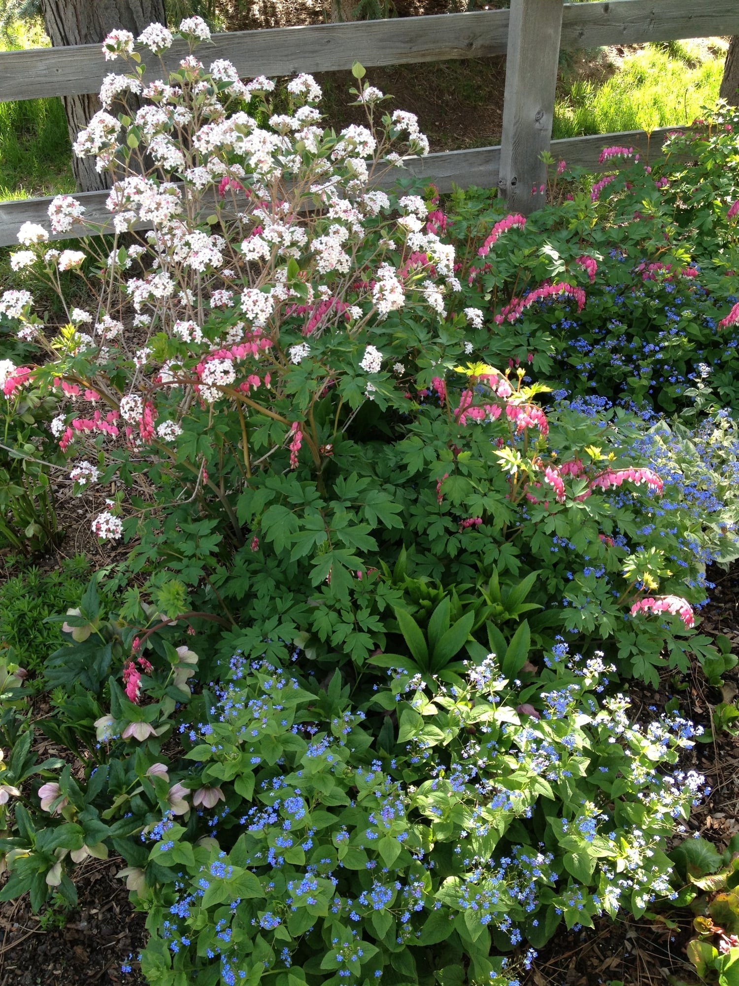 Colorado Landscaping Photos | Kingfisher Landscape | Build | Serving Colorado