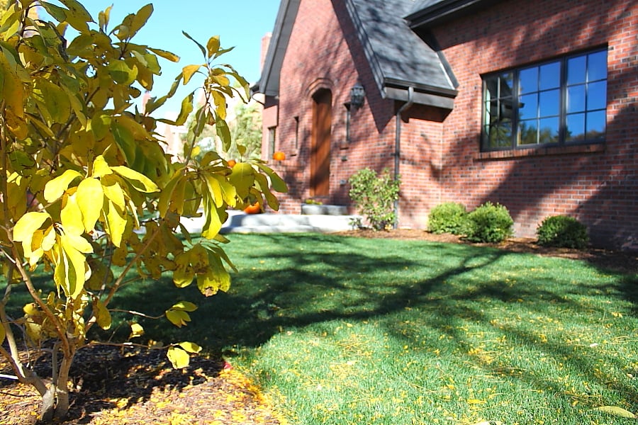 Colorado Landscaping Photos | Kingfisher Landscape | Build | Serving Colorado